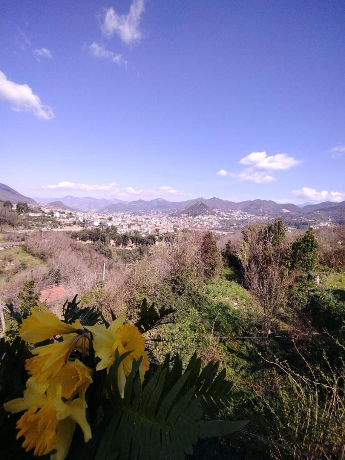 Appartement Il Casadduoglio 31 à Vietri Extérieur photo